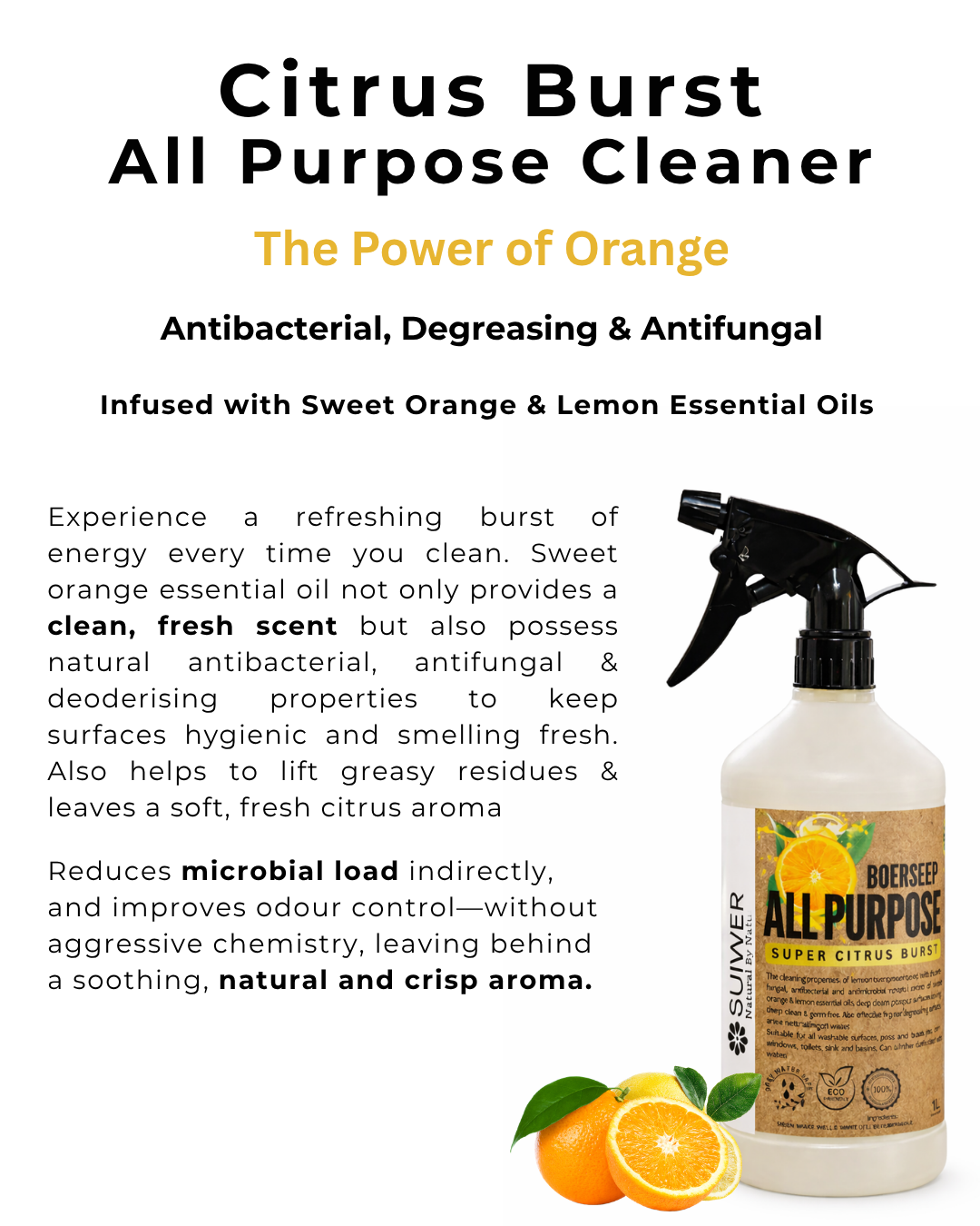 Citrus Burst All Purpose Cleaner