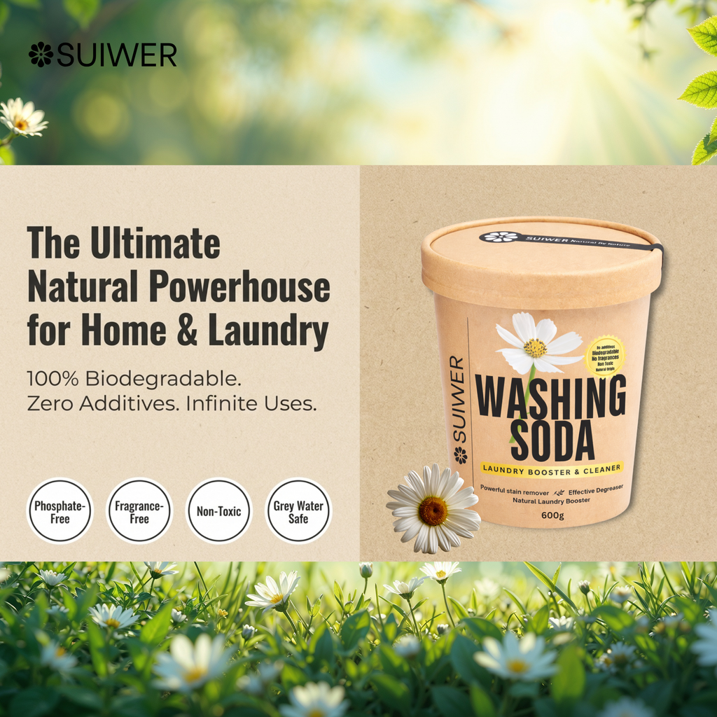 Washing Soda 600g