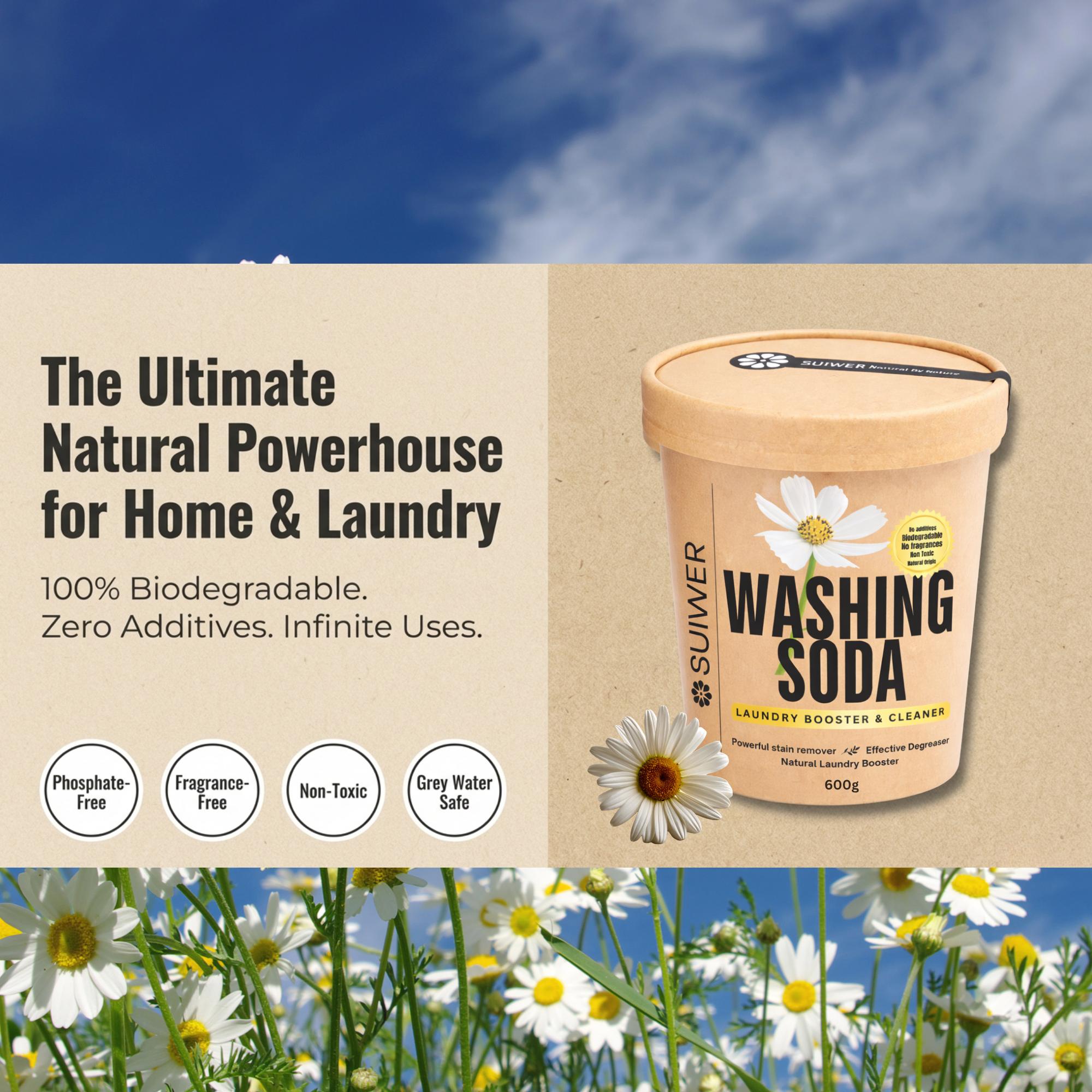 Washing Soda 600g